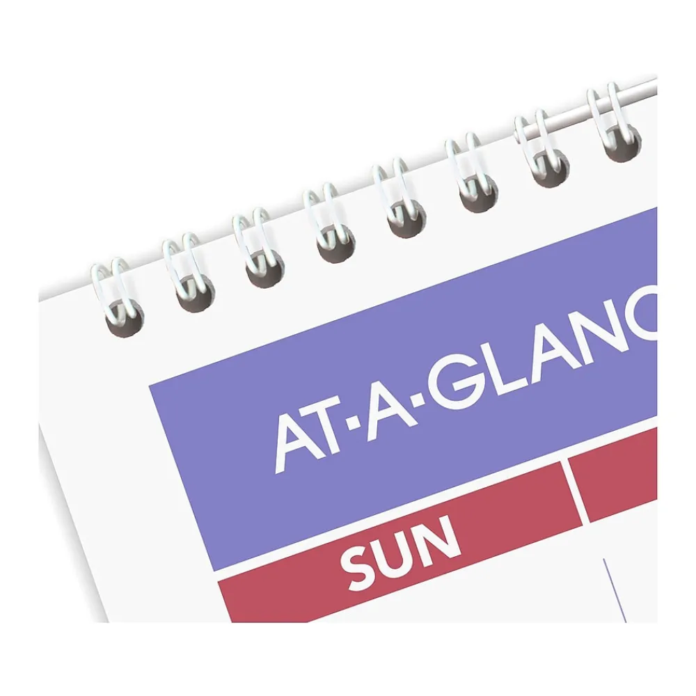 2025 Calendars|AT-A-GLANCE 2025 17" x 12" Monthly Wet-Erase Wall Calendar (PMLM02-28-25)