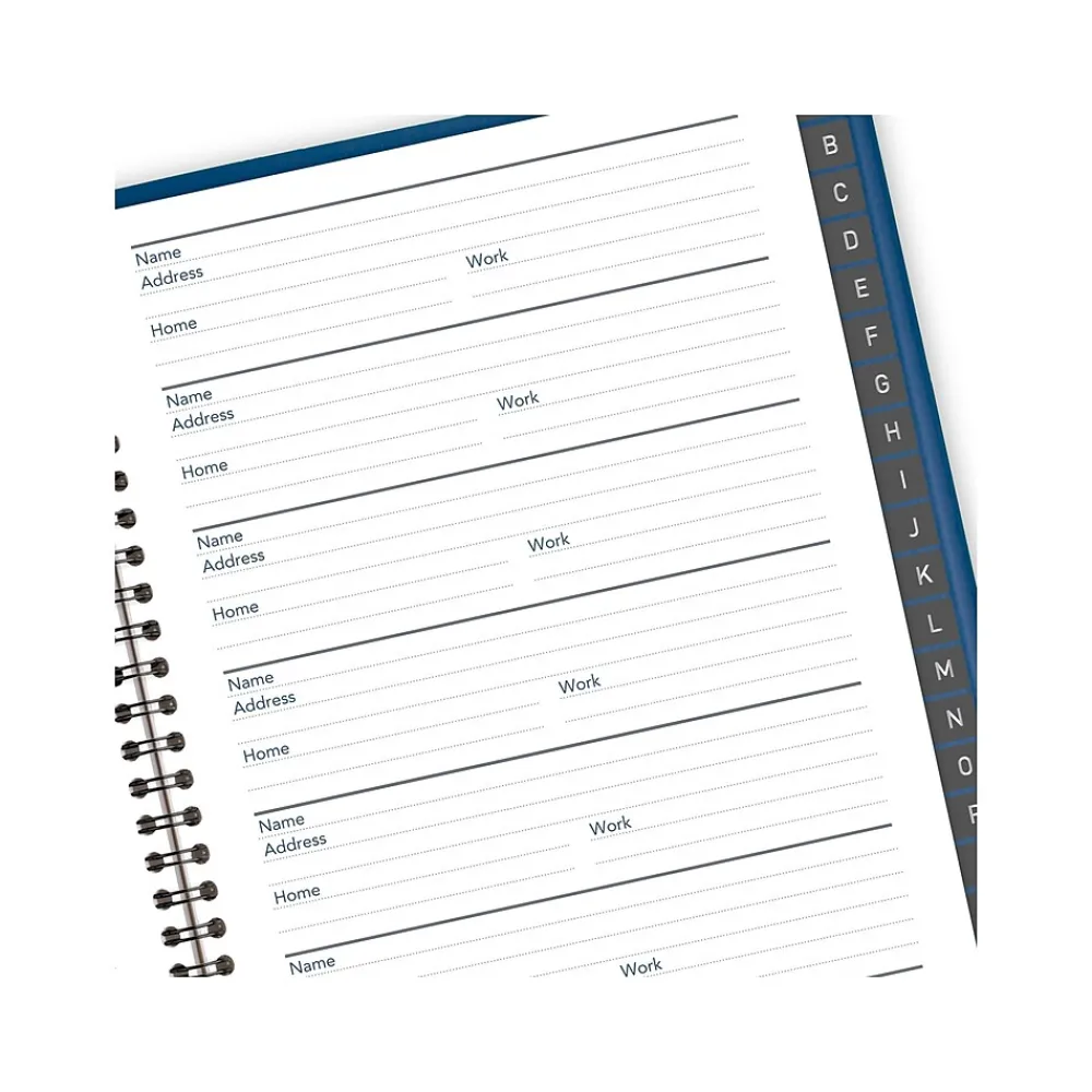 2025 Planners|AT-A-GLANCE 2025 5" x 8" Weekly Appointment Book, Faux Leather Cover, Blue (70-108-20-25)