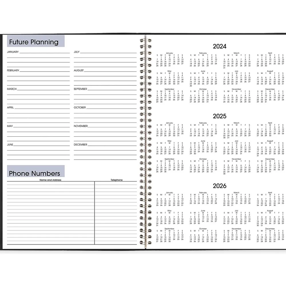 2025 Planners|AT-A-GLANCE 2025 DayMinder 8" x 12" Monthly Planner, Faux Leather Cover, Black (SK2-00-25)