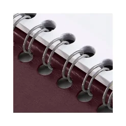 2025 Planners|AT-A-GLANCE 2025 DayMinder 8