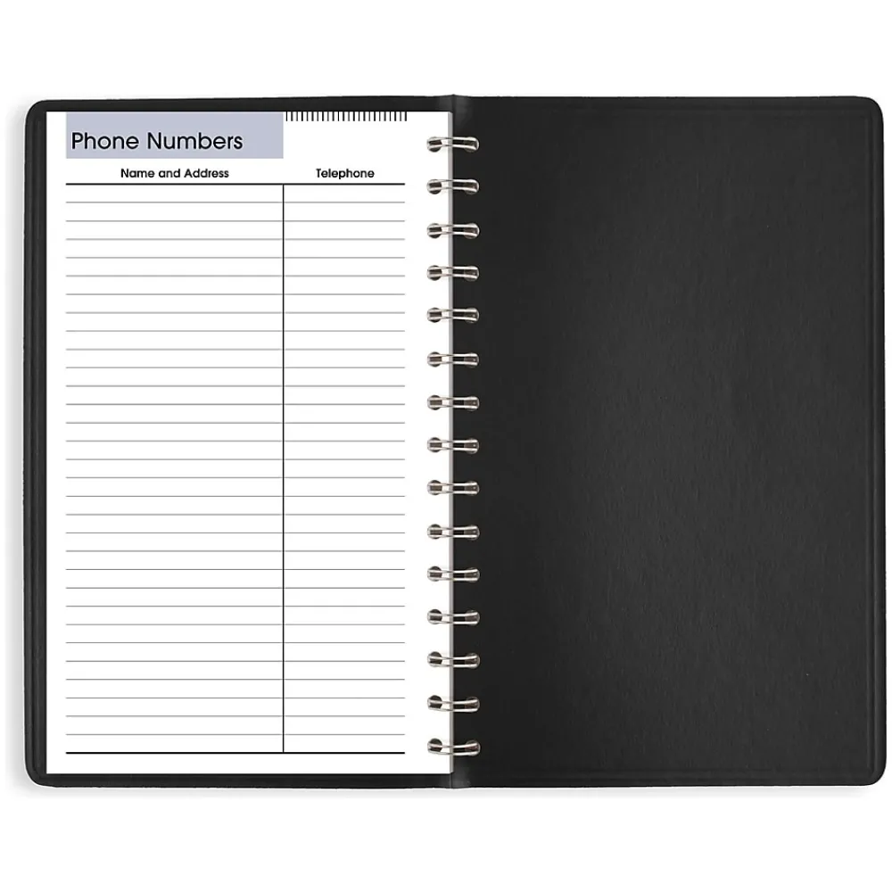 2025 Planners|AT-A-GLANCE 2025 DayMinder 5" x 8" Daily Appointment Book, Faux Leather Cover, Black (SK44-00-25)