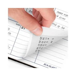 2025 Planners|AT-A-GLANCE 2025 DayMinder 8