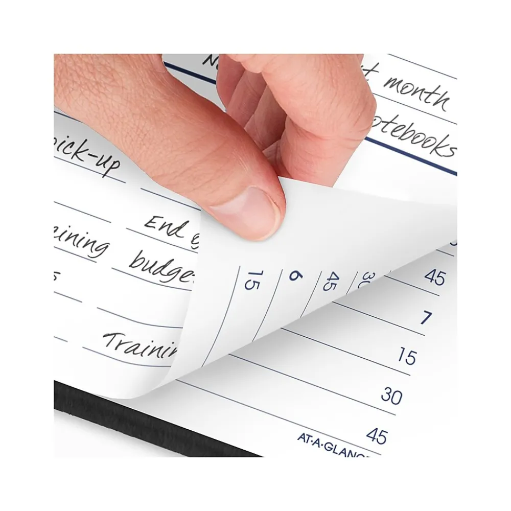 2025 Planners|AT-A-GLANCE 2025 DayMinder 5" x 8" Daily Appointment Book, Faux Leather Cover, Black (G100-00-25)