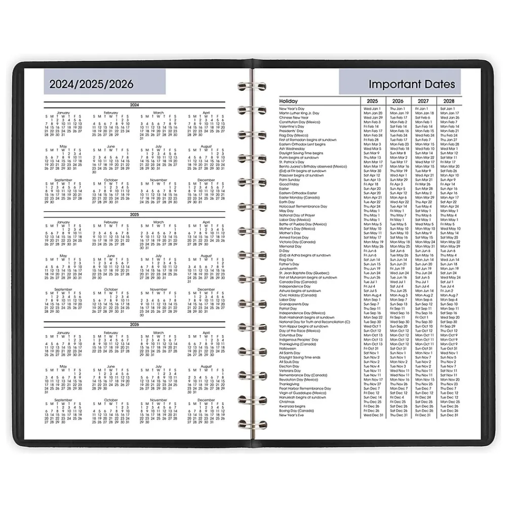2025 Planners|AT-A-GLANCE 2025 DayMinder 5" x 8" Daily Appointment Book, Faux Leather Cover, Black (G100-00-25)