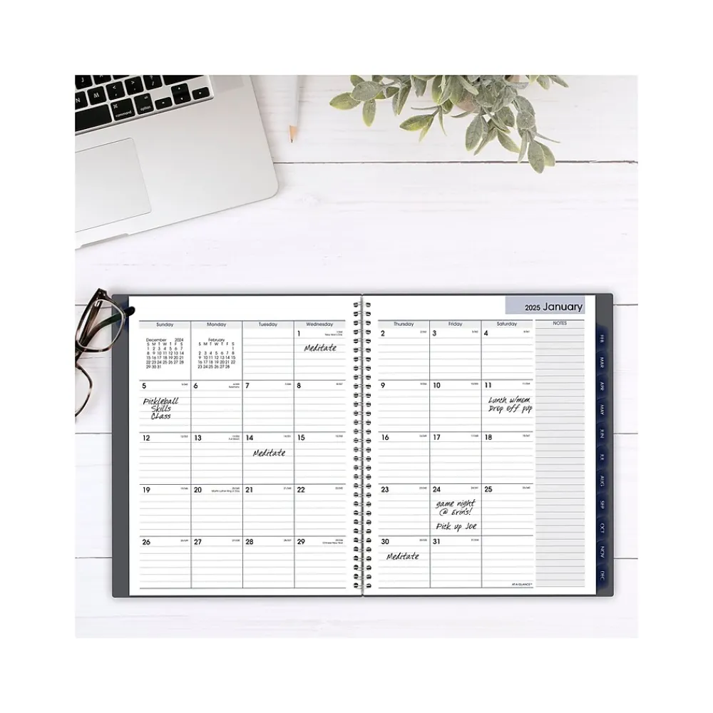 2025 Planners|AT-A-GLANCE 2025 DayMinder 8.5" x 11" Monthly Planner, Poly Cover, Gray (GC470-07-25)