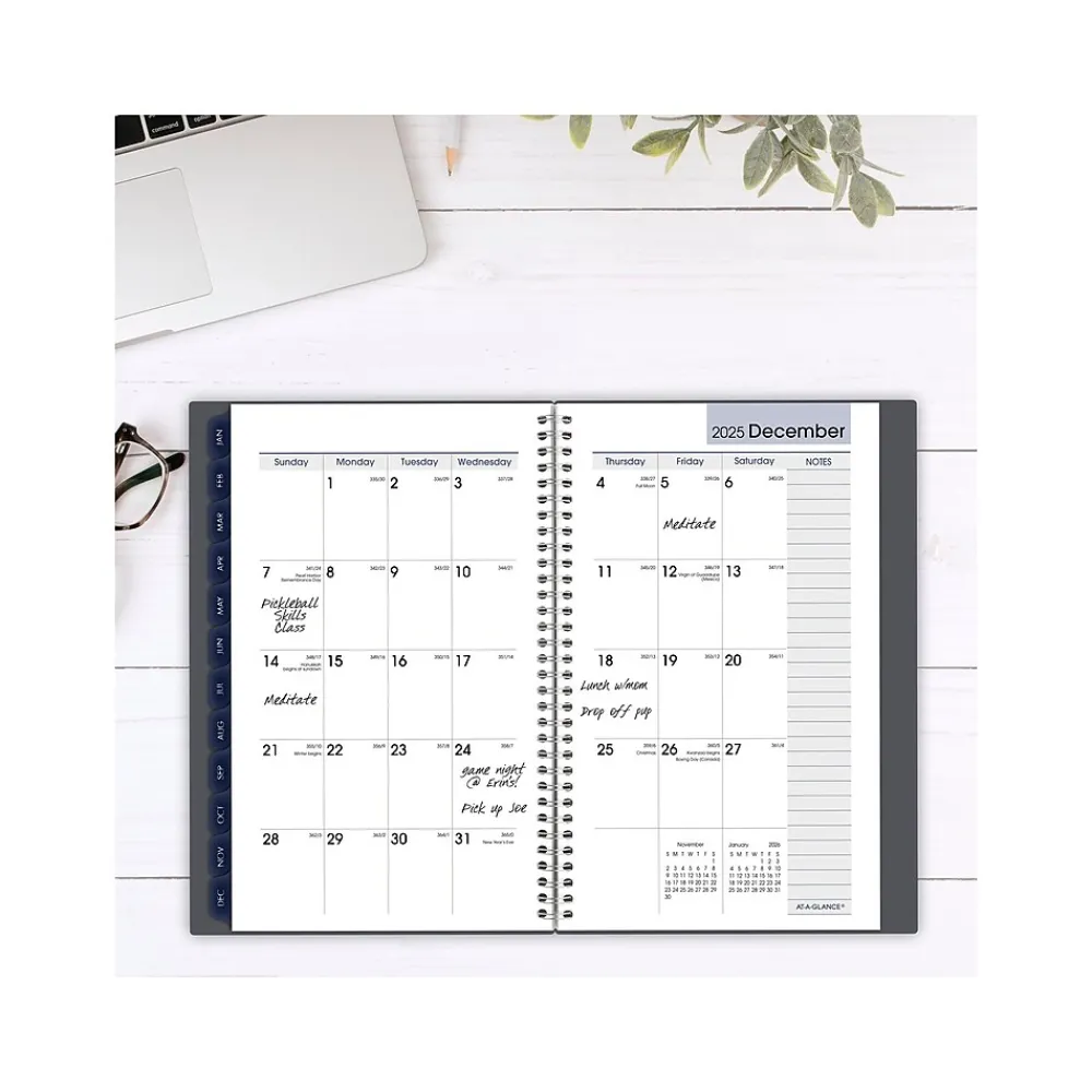 2025 Planners|AT-A-GLANCE 2025 DayMinder 5" x 8" Weekly & Monthly Planner, Plastic Cover, Gray (GC200-07-25)