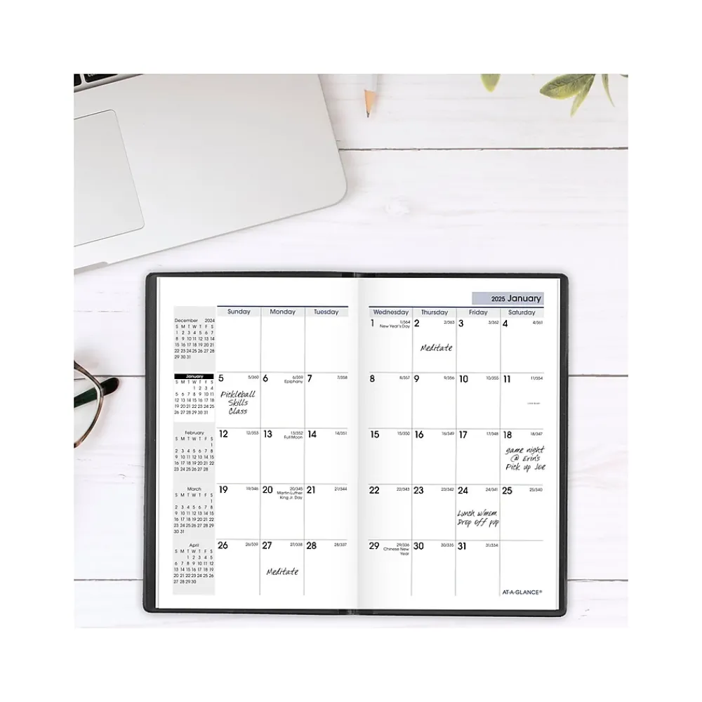 2025 Planners|AT-A-GLANCE 2025 DayMinder 3.5" x 6" Monthly Planner, Plastic Cover, Black (SK53-00-25)