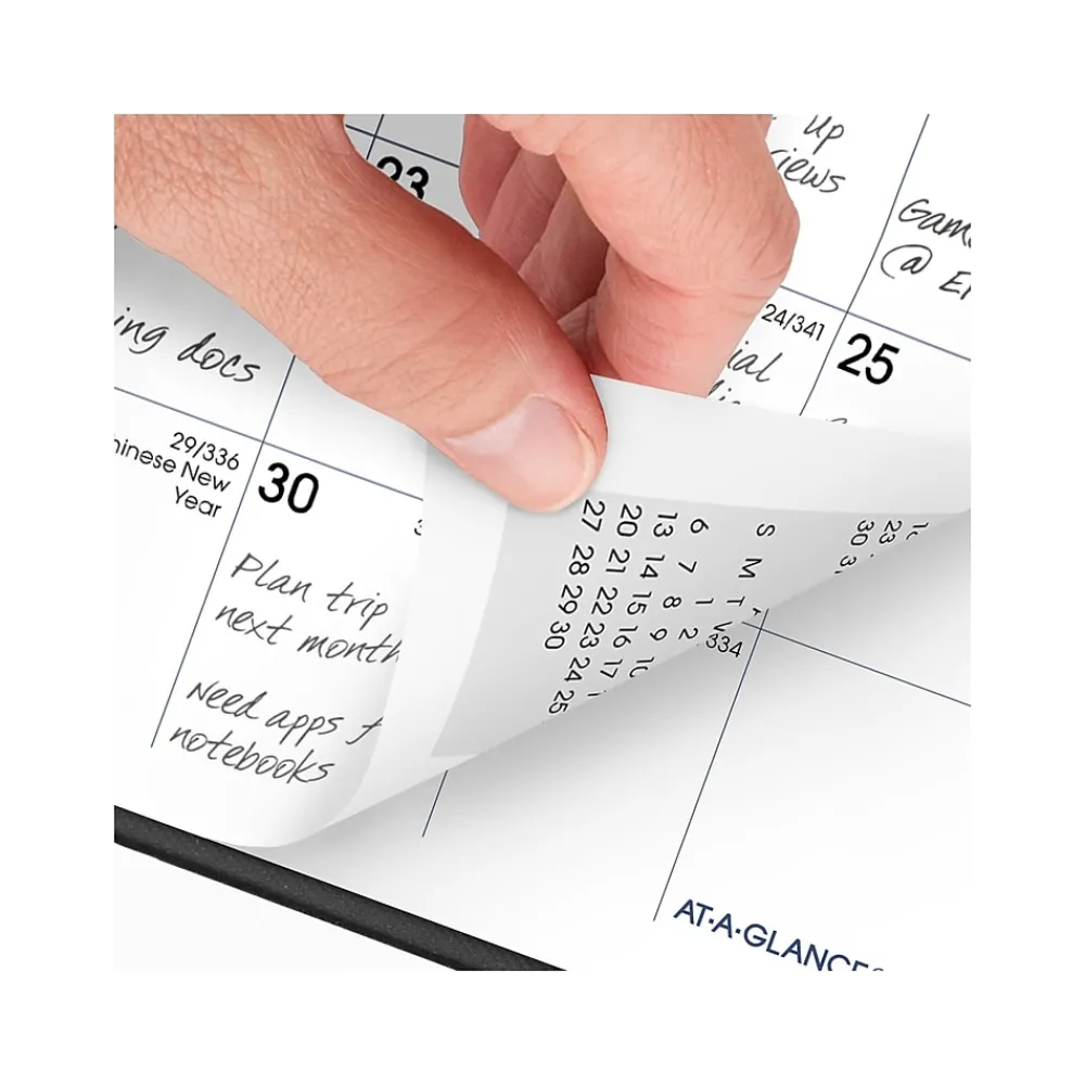 2025 Planners|AT-A-GLANCE 2025 DayMinder 3.5" x 6" Monthly Planner, Plastic Cover, Black (SK53-00-25)