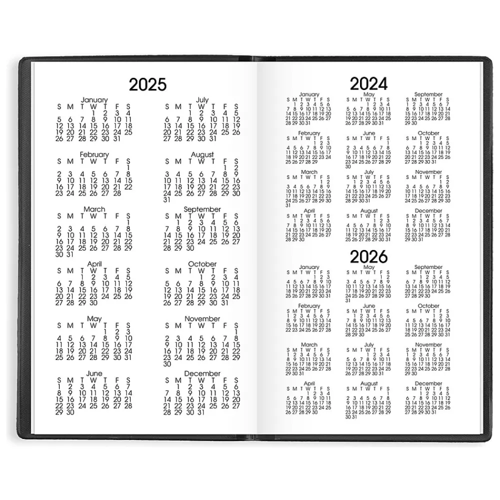 2025 Planners|AT-A-GLANCE 2025 DayMinder 3.5" x 6" Monthly Planner, Plastic Cover, Black (SK53-00-25)