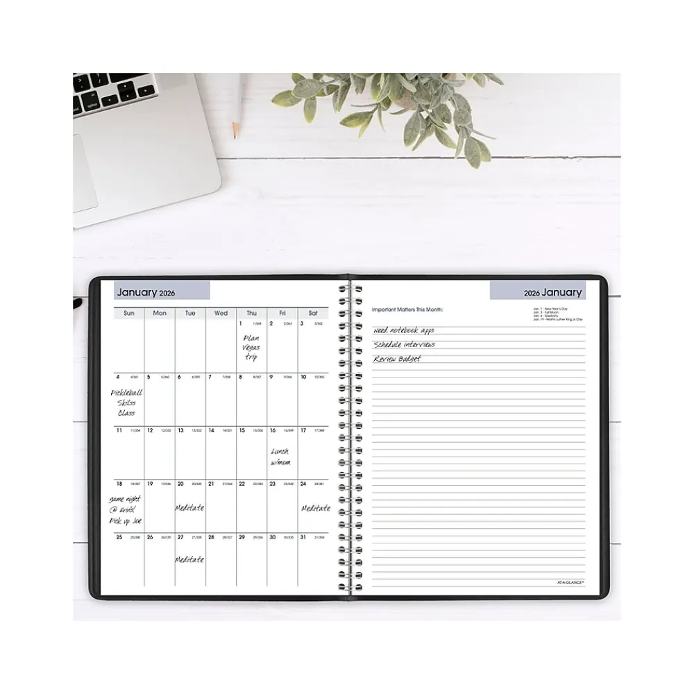 2025 Planners|AT-A-GLANCE 2025 DayMinder Executive 7" x 8.75" Weekly & Monthly Planner, Faux Leather Cover, Black (G546-00-25)