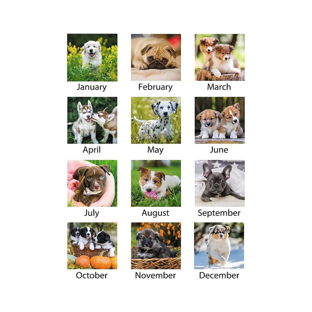 2025 Calendars|AT-A-GLANCE 2025 Puppies 21.75" x 17" Monthly Desk Pad Calendar (DMD166-32-25)