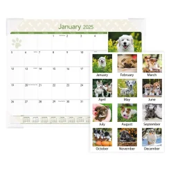 2025 Calendars|AT-A-GLANCE 2025 Puppies 21.75