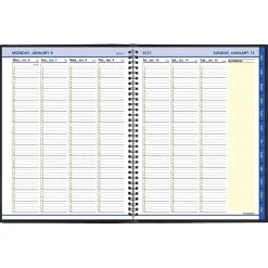 2025 Planners|AT-A-GLANCE 2025 QuickNotes 8.25" x 11" Weekly & Monthly Appointment Book, Faux Leather Cover, Black (76-950-05-25)