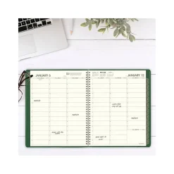 2025 Planners|AT-A-GLANCE 2025 Recycled 8.25" x 11" Weekly & Monthly Appointment Book, Faux Leather Cover, Green (70-950G-60-25)