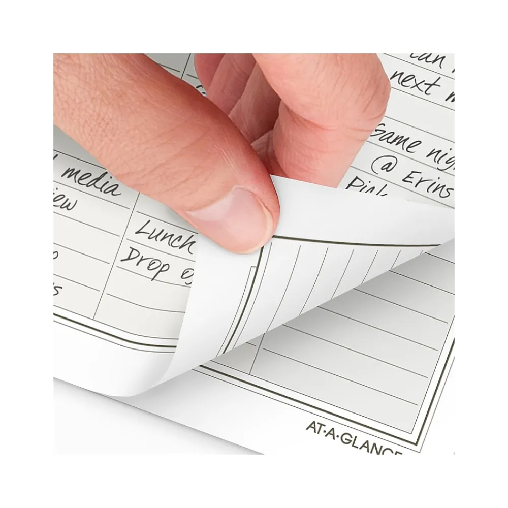 Calendars & Planners Refills|AT-A-GLANCE 2025 Seascapes 8.5" x 5.5" Daily & Monthly Planner Refill, White/Brown (481-125-25)