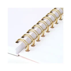 Academic Planners|AT-A-GLANCE 2024-2025 Simplified by Emily Ley Happy Stripe 5.5