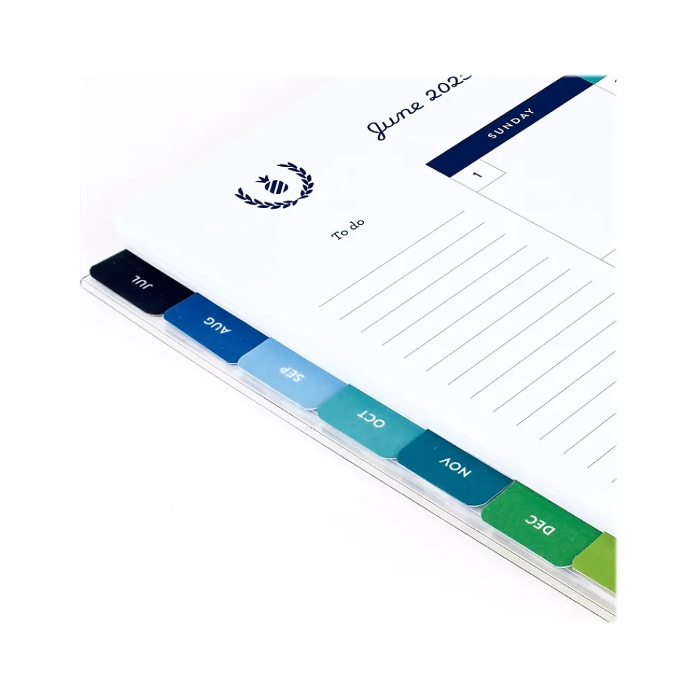 Academic Planners|AT-A-GLANCE 2024-2025 Simplified by Emily Ley Gingham 8.5" x 11" Academic Weekly & Monthly Planner, Blue/White (EL26-901A-25)