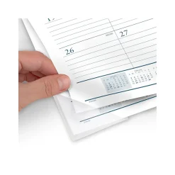 2025 Calendars|AT-A-GLANCE 2025 Success 21.75