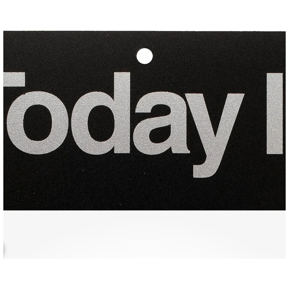 2025 Calendars|AT-A-GLANCE 2025 Today Is 6.63" x 9.13" Daily Wall Calendar, White/Black (K1-00-25)