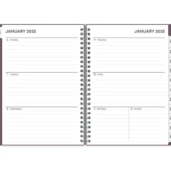 2025 Planners|Blue Sky 2025 5.88" x 8.63" Weekly & Monthly Planner, Plastic Cover, Purple (150540)