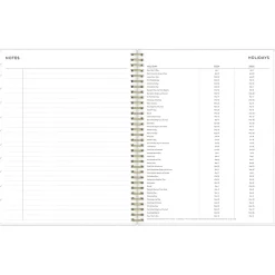 Academic Planners|Blue Sky 2024-2025 Ashley G Multicolor Smoke 8.5