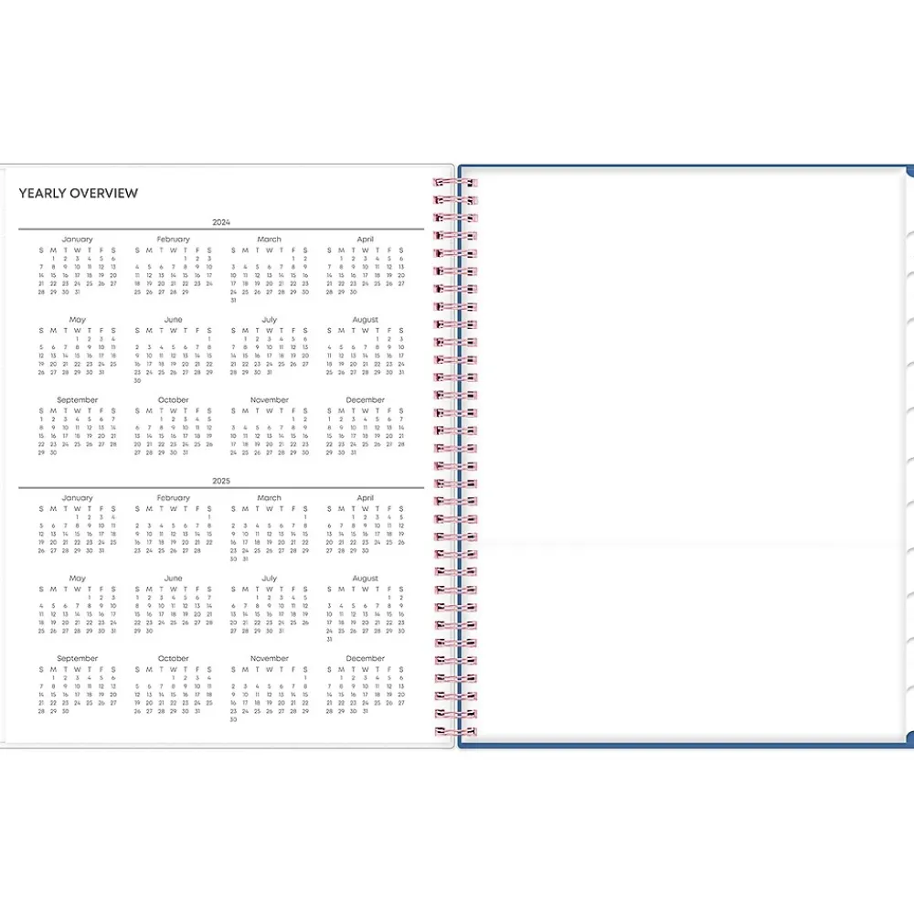 Academic Planners|Blue Sky 2024-2025 Brandice 8.5" x 11" Academic Weekly & Monthly Planner, Plastic Cover, Multicolor (146847)