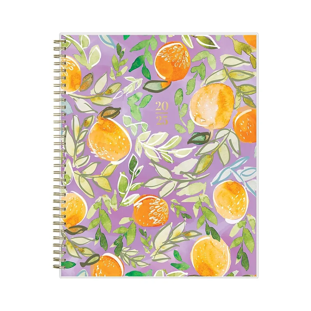2025 Planners|Blue Sky 2025 Britt Mills Citrus Sunrise 8.5" x 11" Weekly & Monthly Planner, Plastic Cover, Multicolor (148026)