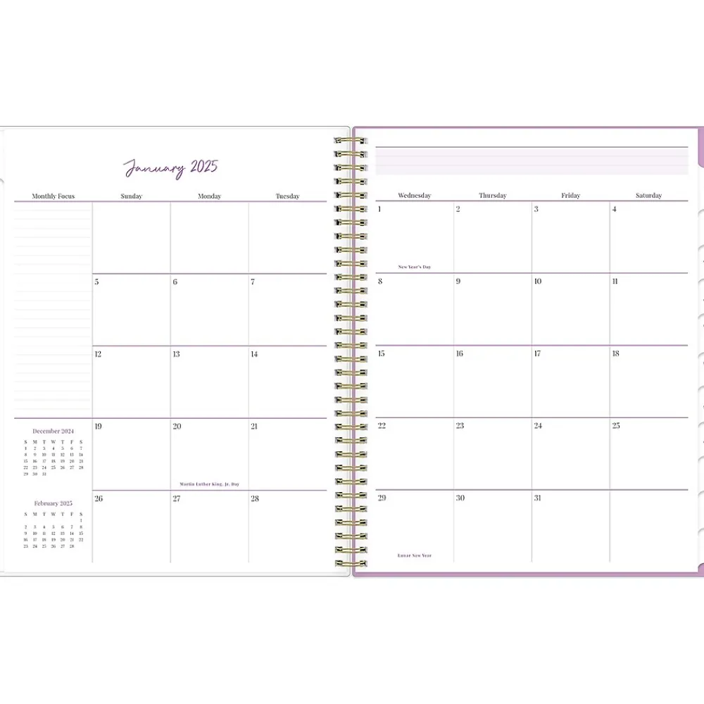 2025 Planners|Blue Sky 2025 Britt Mills Citrus Sunrise 8.5" x 11" Weekly & Monthly Planner, Plastic Cover, Multicolor (148026)