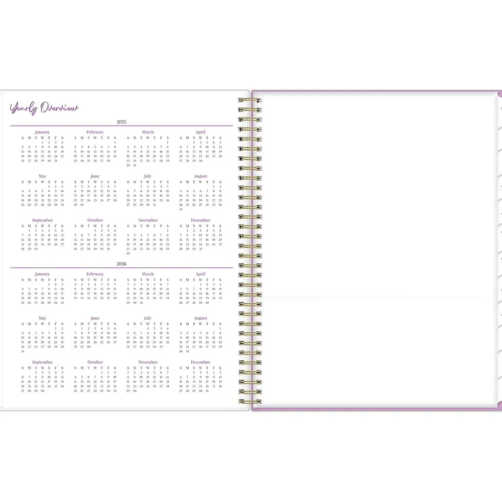 2025 Planners|Blue Sky 2025 Britt Mills Citrus Sunrise 8.5" x 11" Weekly & Monthly Planner, Plastic Cover, Multicolor (148026)