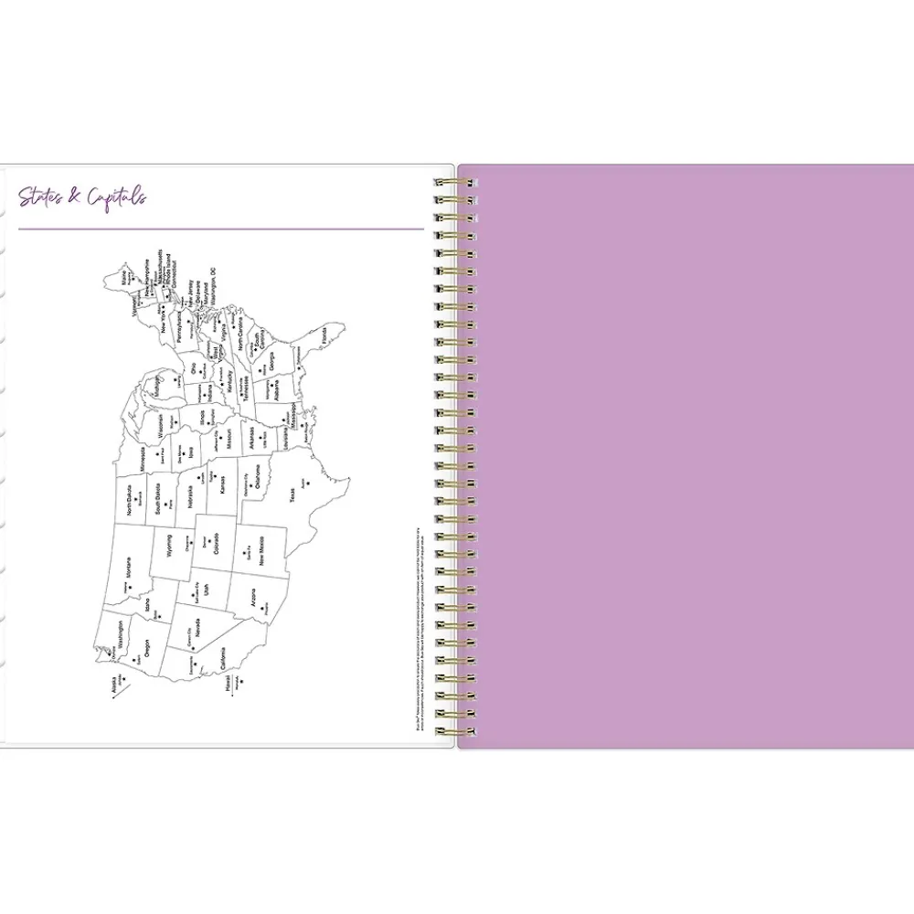2025 Planners|Blue Sky 2025 Britt Mills Ella Bloom 8.5" x 11" Weekly & Monthly Planner, Plastic Cover, Multicolor (148037)