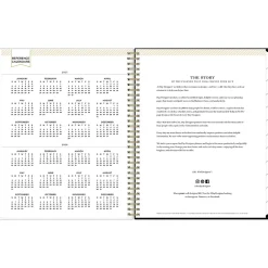 2025 Planners|Blue Sky 2025 Day Designer Austen 8.5