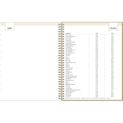 2025 Planners|Blue Sky 2025 Day Designer Gold Spotty 8.5