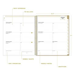 2025 Planners|Blue Sky 2025 Day Designer Gold Spotty 8.5