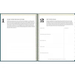 2025 Planners|Blue Sky 2025 Day Designer Peacock 8.5