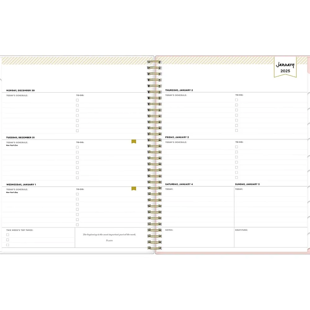 2025 Planners|Blue Sky 2025 Day Designer Roses Blush 8.5" x 11" Weekly & Monthly Planner, Plastic Cover, Multicolor (140092-25)