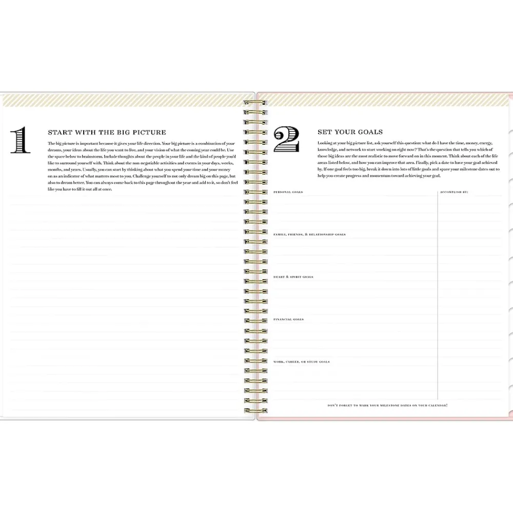 2025 Planners|Blue Sky 2025 Day Designer Roses Blush 8.5" x 11" Weekly & Monthly Planner, Plastic Cover, Multicolor (140092-25)