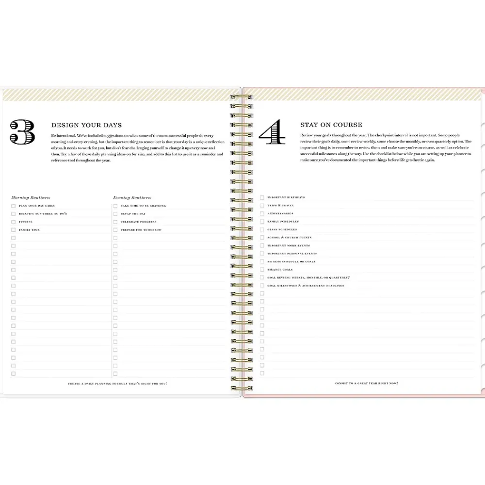 2025 Planners|Blue Sky 2025 Day Designer Roses Blush 8.5" x 11" Weekly & Monthly Planner, Plastic Cover, Multicolor (140092-25)