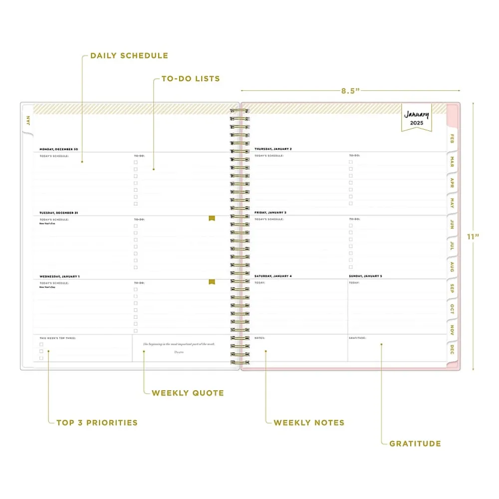 2025 Planners|Blue Sky 2025 Day Designer Roses Blush 8.5" x 11" Weekly & Monthly Planner, Plastic Cover, Multicolor (140092-25)