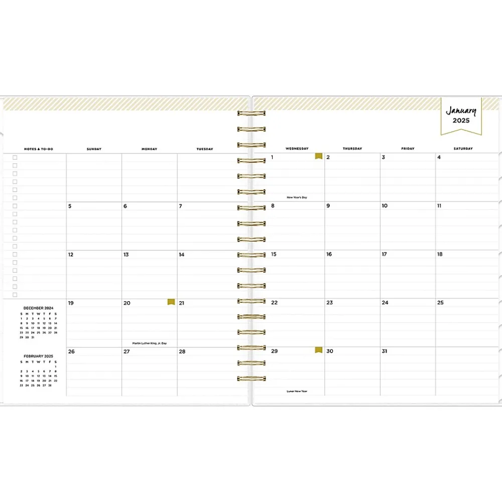 2025 Planners|Blue Sky 2025 Day Designer Rugby Stripe 8" x 10" Daily & Monthly Planner, Plastic Cover, Black/White (148120)