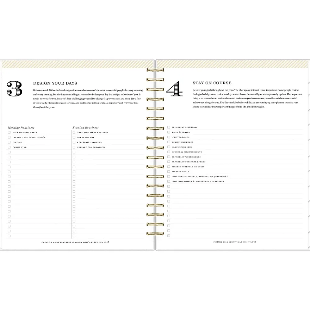 2025 Planners|Blue Sky 2025 Day Designer Rugby Stripe 8" x 10" Daily & Monthly Planner, Plastic Cover, Black/White (148120)