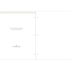 Academic Planners|Blue Sky 2024-2025 Day Designer Spotty Small Gold 8.5