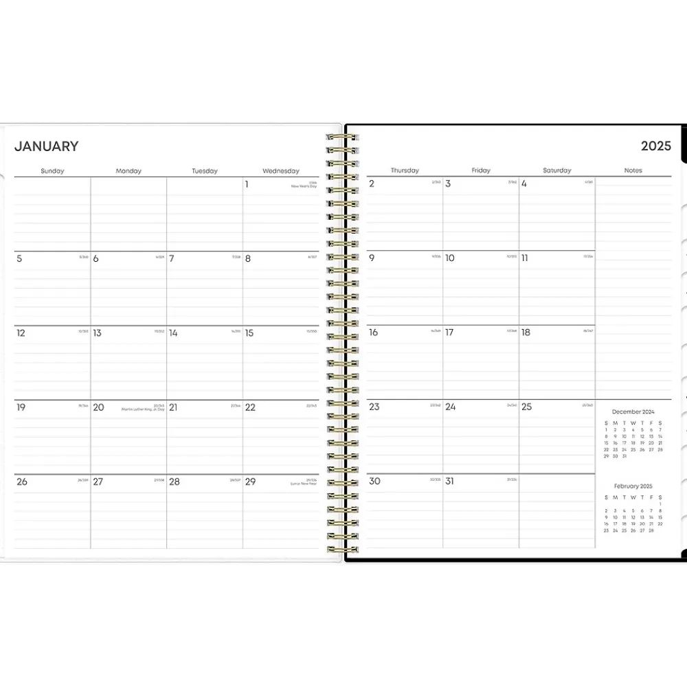 2025 Planners|Blue Sky 2025 Deelie 8.5" x 11" Weekly & Monthly Planner, Plastic Cover, White/Gray (152249)