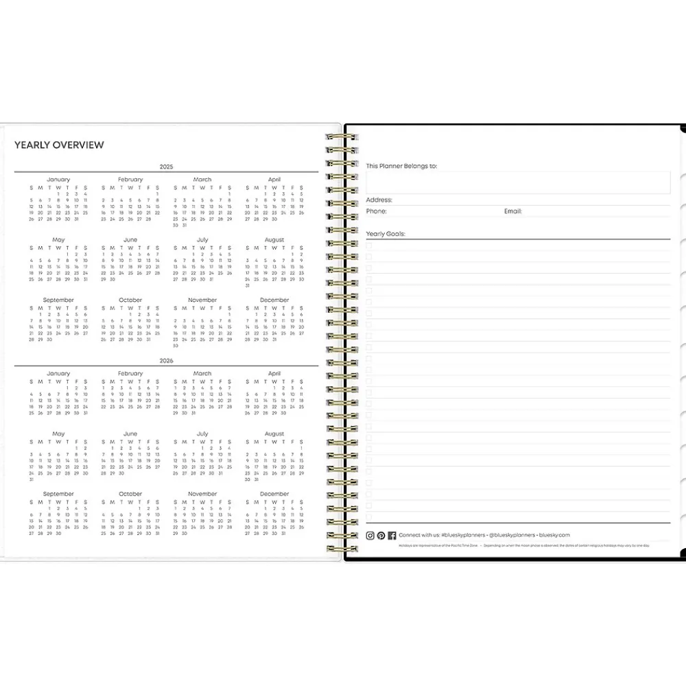 2025 Planners|Blue Sky 2025 Deelie 8.5" x 11" Weekly & Monthly Planner, Plastic Cover, White/Gray (152249)