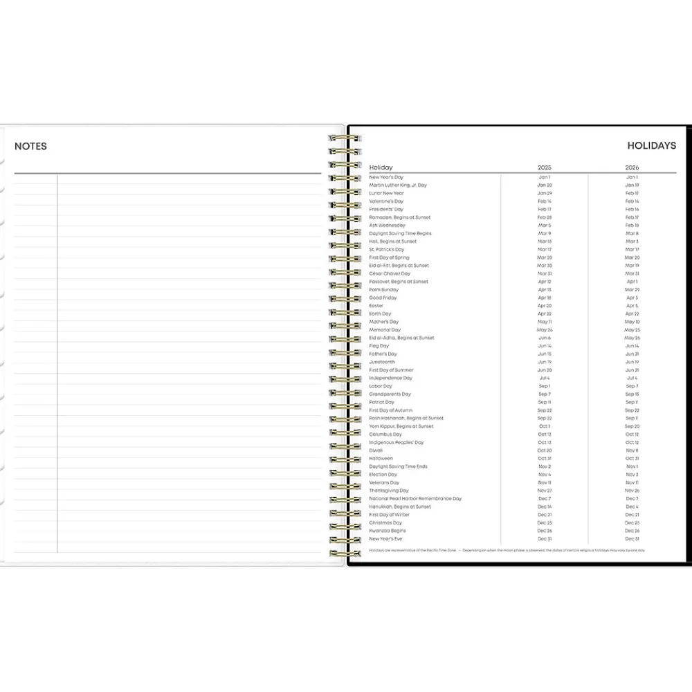 2025 Planners|Blue Sky 2025 Deelie 8.5" x 11" Weekly & Monthly Planner, Plastic Cover, White/Gray (152249)