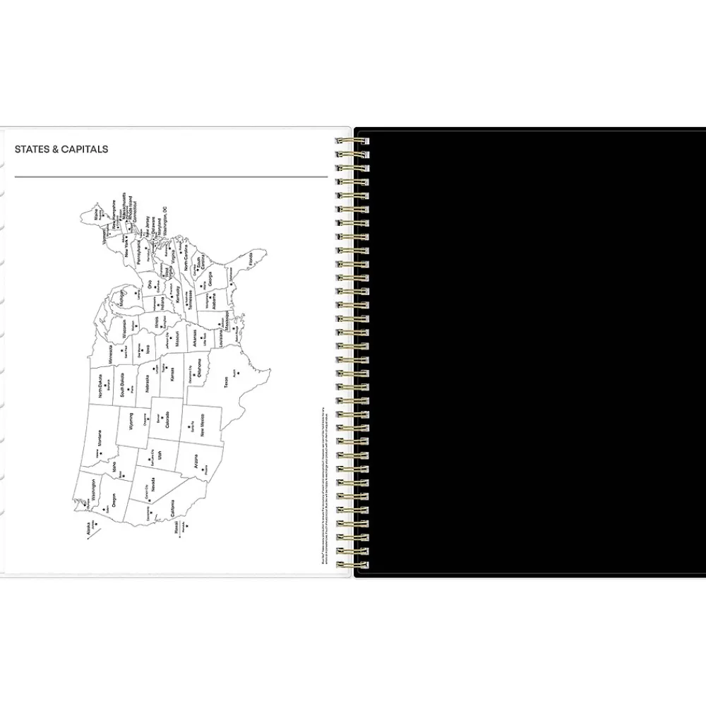 2025 Planners|Blue Sky 2025 Deelie 8.5" x 11" Weekly & Monthly Planner, Plastic Cover, White/Gray (152249)