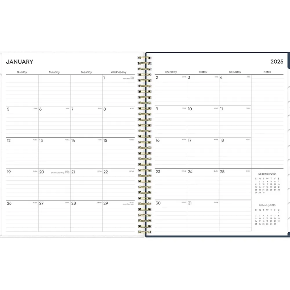 2025 Planners|Blue Sky 2025 Dellania 8.5" x 11" Weekly & Monthly Planner, Plastic Cover, Multicolor (148212)