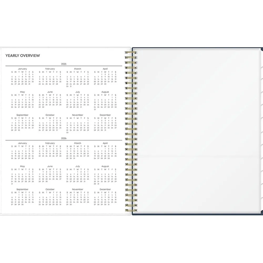 2025 Planners|Blue Sky 2025 Dellania 8.5" x 11" Weekly & Monthly Planner, Plastic Cover, Multicolor (148212)