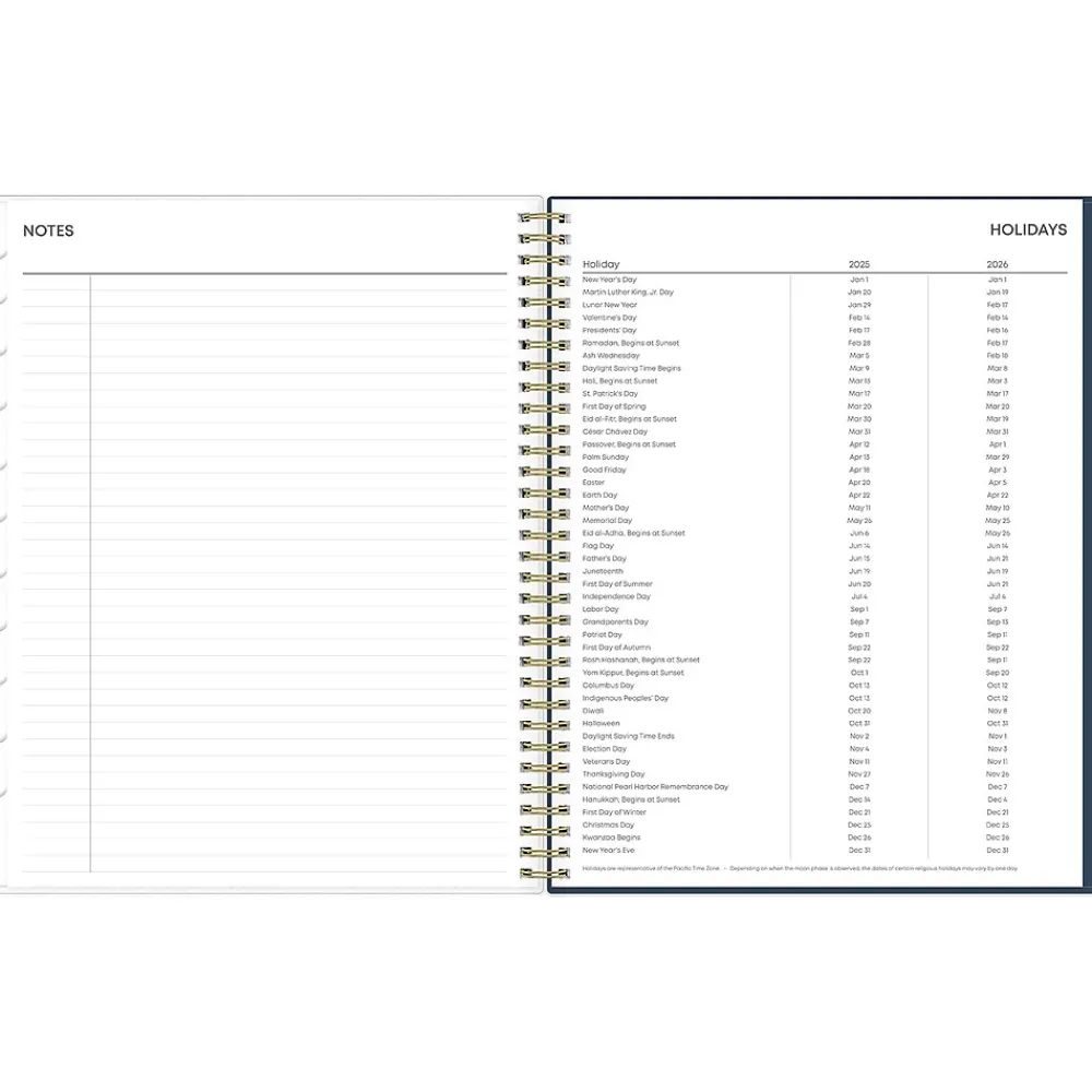 2025 Planners|Blue Sky 2025 Dellania 8.5" x 11" Weekly & Monthly Planner, Plastic Cover, Multicolor (148212)