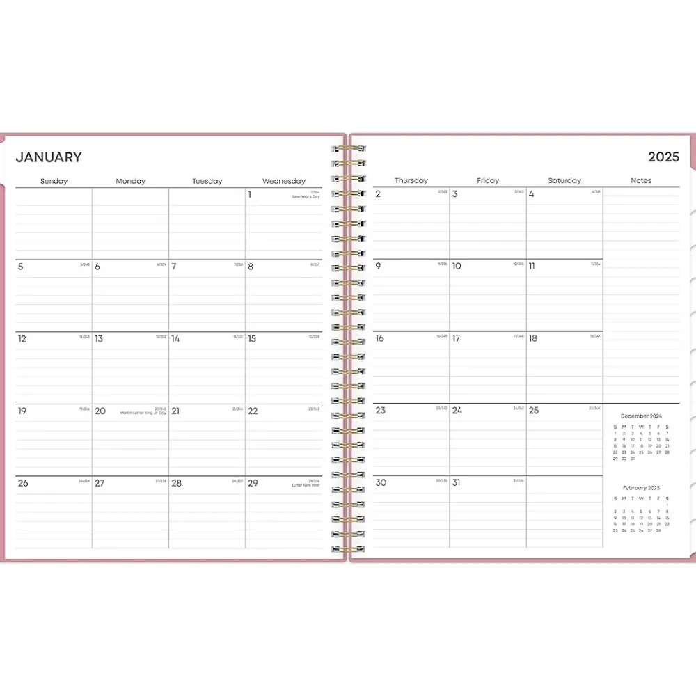 2025 Planners|Blue Sky 2025 Dusty Rose 8" x 10" Monthly Planner, Plastic Cover, Pink (148213)