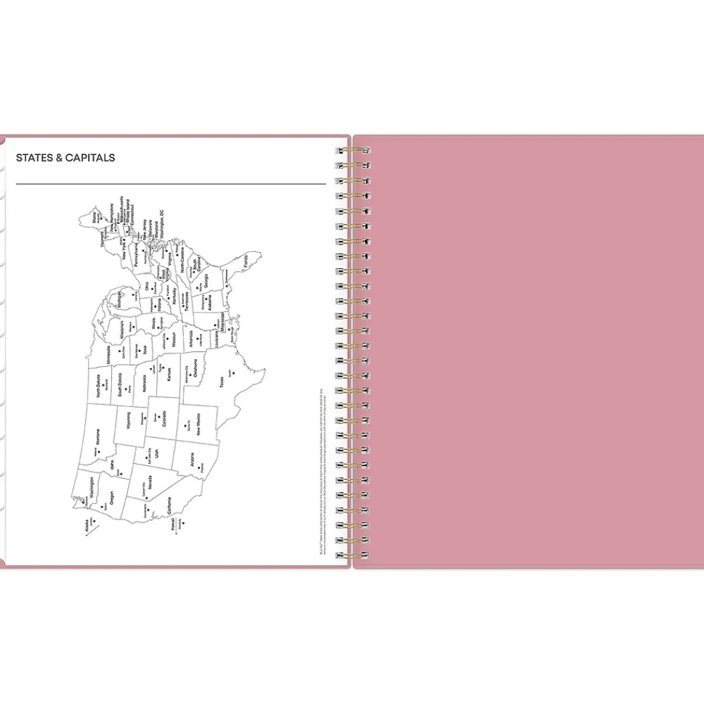 2025 Planners|Blue Sky 2025 Dusty Rose 8" x 10" Monthly Planner, Plastic Cover, Pink (148213)